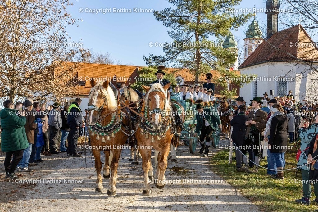 LBT25-1156 | foto-bettina-krinner - Realisiert mit Pictrs.com
