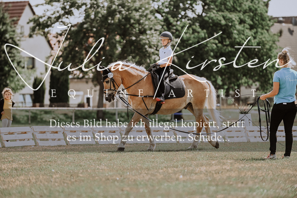 DSC_7780 | Pferde- und Turnierfotografie in Westsachsen. Pferdeportraits, Auftragszeichnungen und intuitive Kunst.