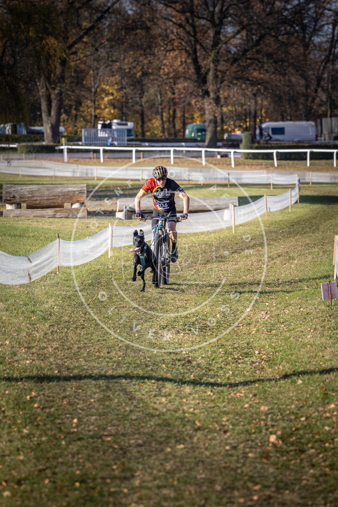 CaniXpix_DV3A2900 | Hundefotografie, Tierfotograf, Pfotenfotografie, Fotoshooting Hund, Hunde Portrait, Hundesport, Hundeportraits, Heideshooting, Hunde, Sportfotograf, Hundefotograf, Turnierhundsport, THS,  - Realisiert mit Pictrs.com