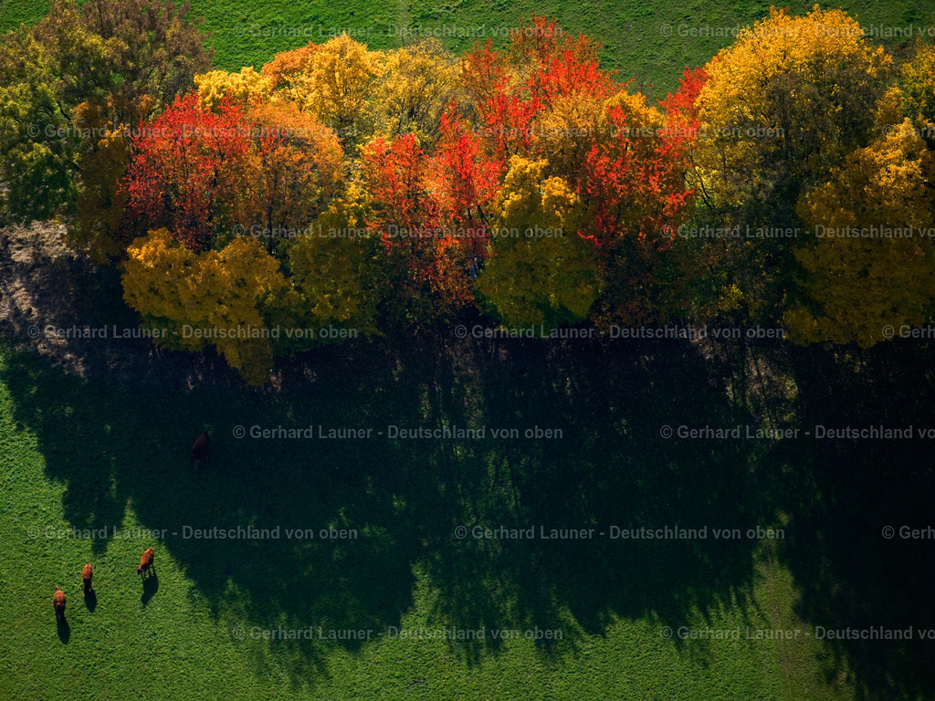 3294451 | Herbstbäume Ldkr Forchheim