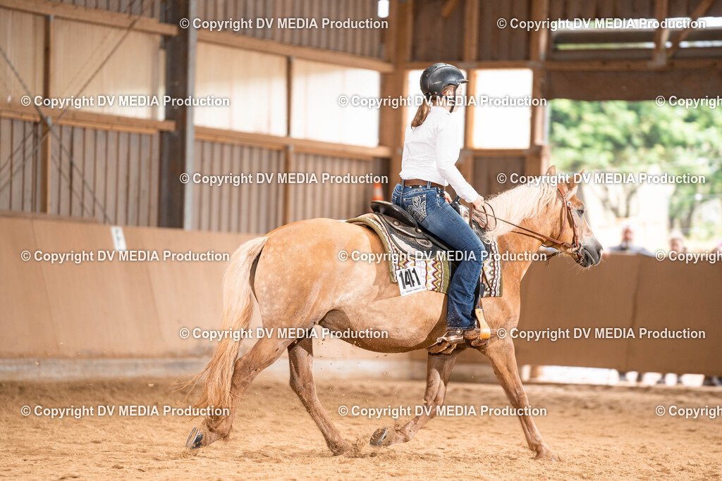 Losheim Tag 1-524 | dv-media-shop - Realisiert mit Pictrs.com