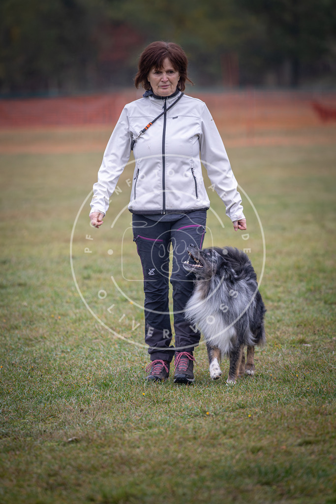 Pfotenfotografie_DV3A8981 | Hundefotografie, Tierfotograf, Pfotenfotografie, Fotoshooting Hund, Hunde Portrait, Hundesport, Hundeportraits, Heideshooting, Hunde, Sportfotograf, Hundefotograf, Turnierhundsport, THS,  - Realisiert mit Pictrs.com