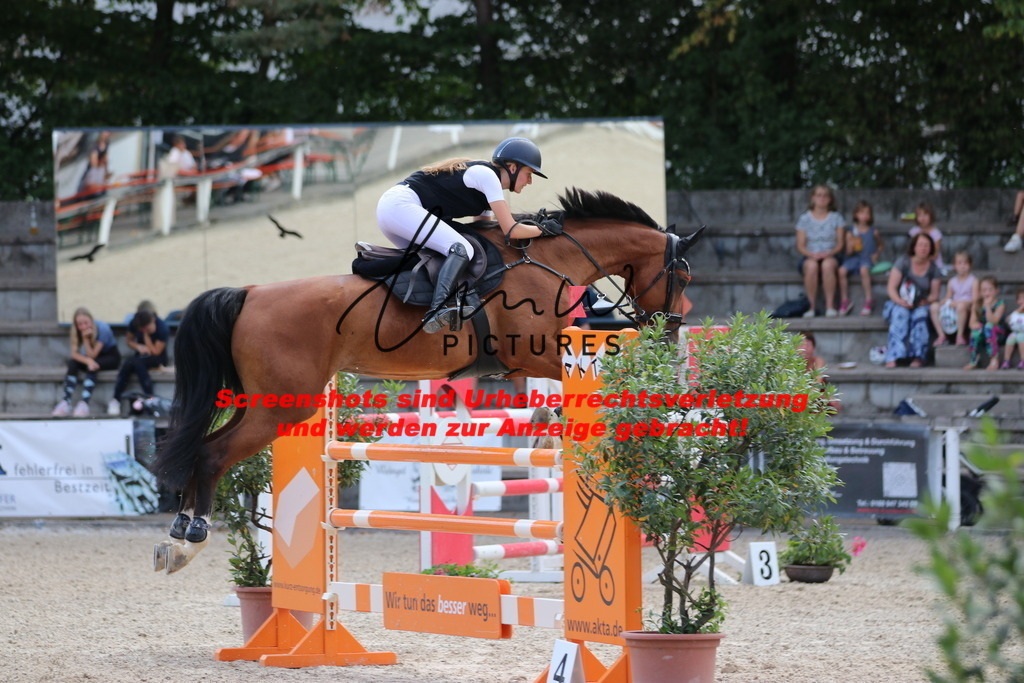 IMG_0472 | lmwpictures - Realisiert mit Pictrs.com