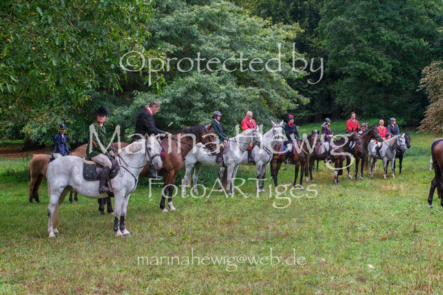 Jagd Perdoel_MarinaHewigDSCF3444 | Fotografie, FotoArt, PferdesportArt, Pferdesportfotografie, Landschaftsfotografie, Reisefotografie, Reise, Pferde - Realisiert mit Pictrs.com