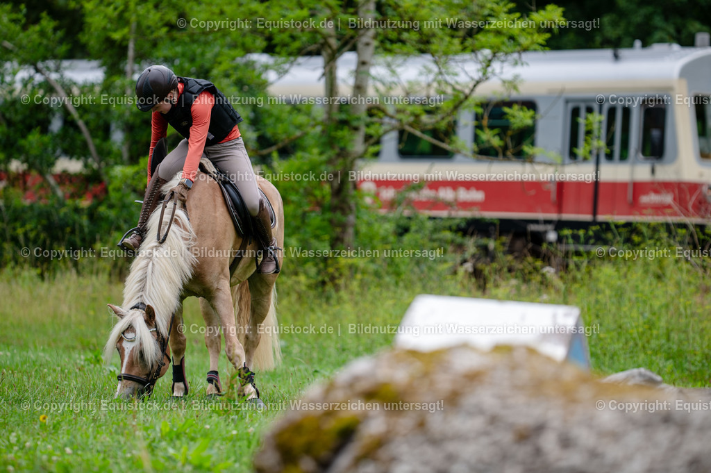 20250725_Vielseitigkeitslehrgang-Marbach_0311 | Foto: Thomas Hartig