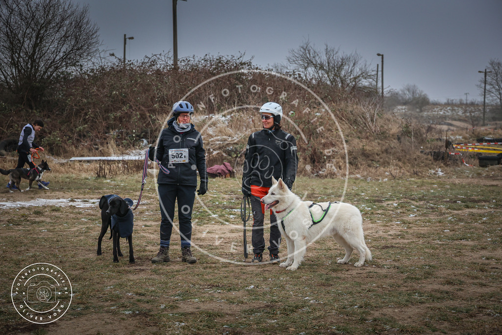 Pfotenfotografie_0L8A2173 | Hundefotografie, Tierfotograf, Pfotenfotografie, Fotoshooting Hund, Hunde Portrait, Hundesport, Hundeportraits, Heideshooting, Hunde, Sportfotograf, Hundefotograf, Turnierhundsport, THS,  - Realisiert mit Pictrs.com