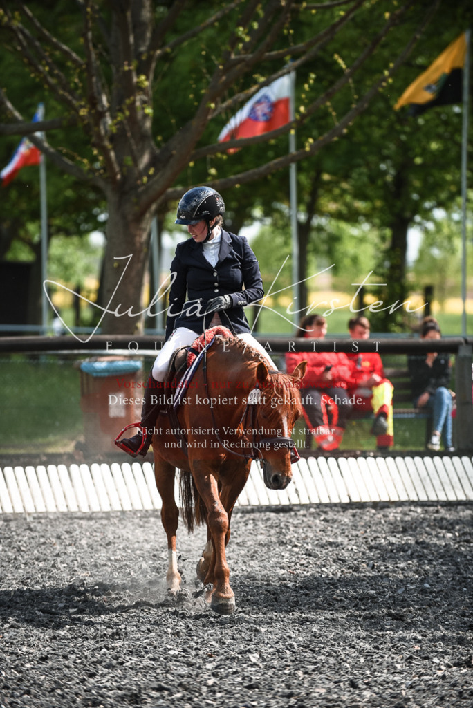 DSC_9065 | Pferde- und Turnierfotografie in Westsachsen. Pferdeportraits, Auftragszeichnungen und intuitive Kunst.