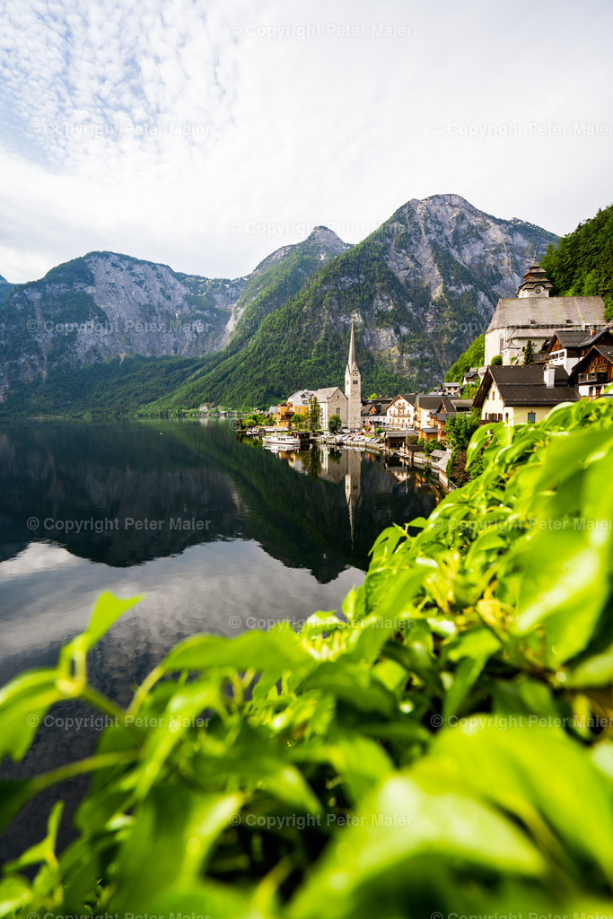 Hallstatt_2020-18 | piet_flosse