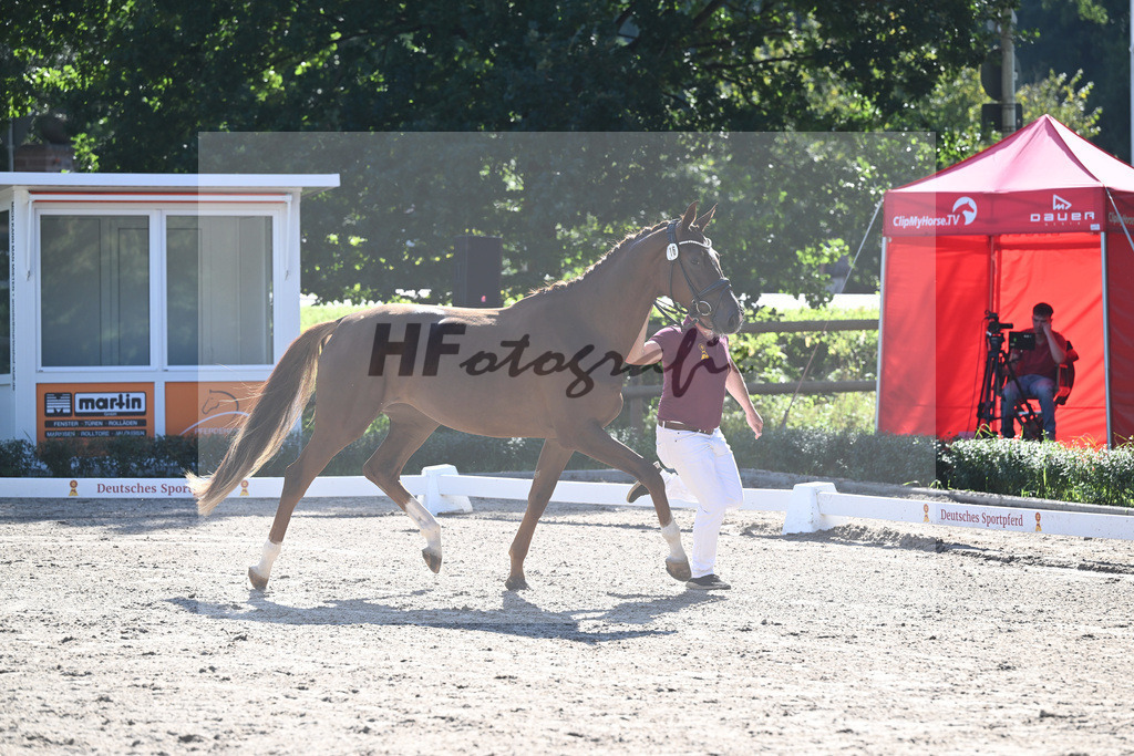Kat-Nr. 16 Qlaudia_Voigtlaender_36230839 | hf-fotografie - Realisiert mit Pictrs.com