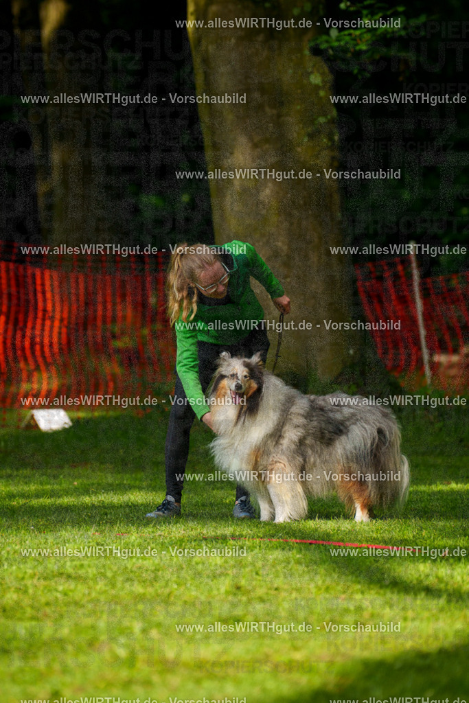 @allesWIRTHgut_Tierfotografie - www.allesWIRTHgut.de - 7R502102 | Professionelle Tierfotografie in Mönchengladbach von Daniel Wirth (allesWIRTHgut). Liebevolle & natürliche Bilder von Hunden & Katzen für unvergessliche Erinnerungen.