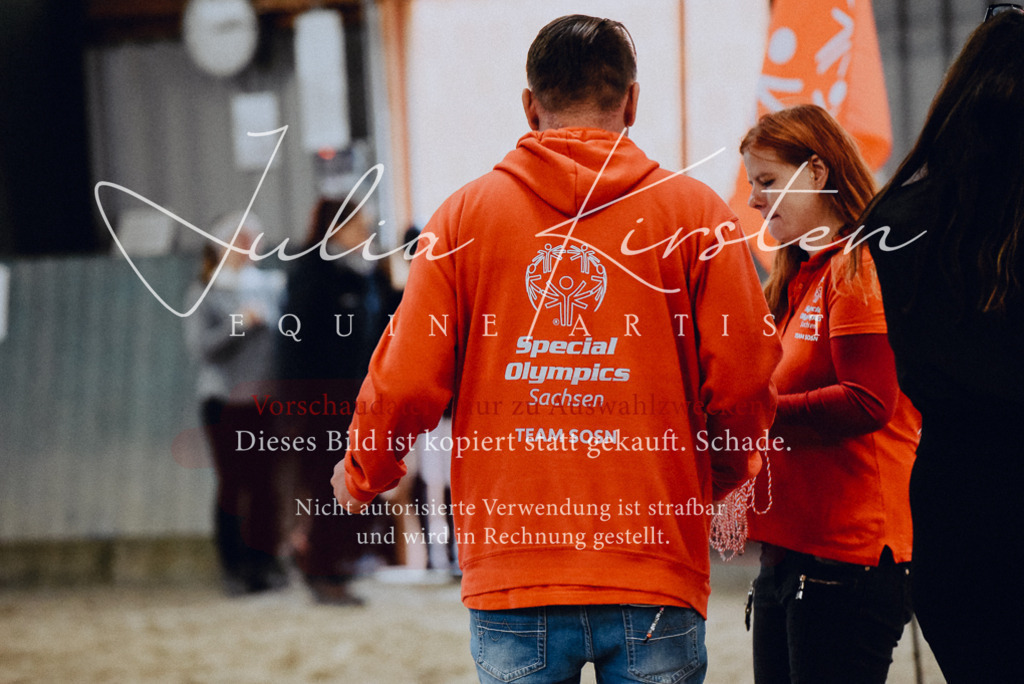 DSC_7012 | Pferde- und Turnierfotografie in Westsachsen. Pferdeportraits, Auftragszeichnungen und intuitive Kunst.