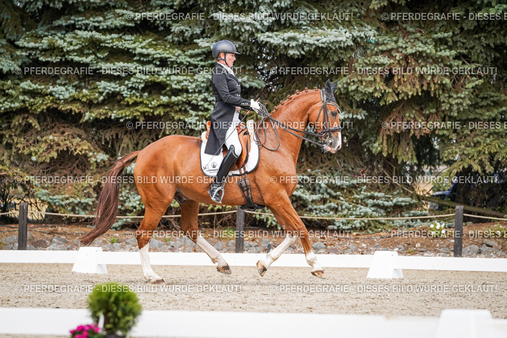 DSC06474 | Pferdegrafie