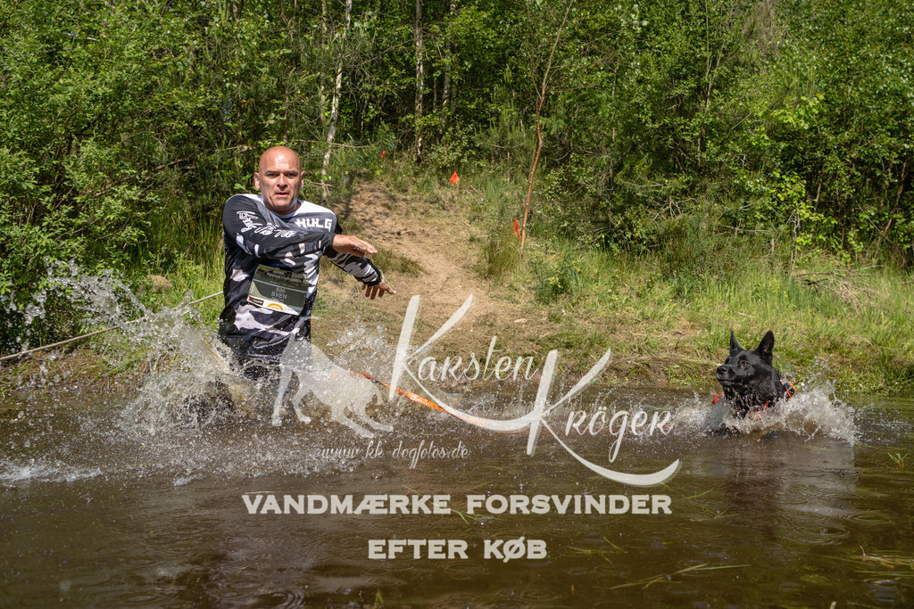 1029DKK990837 | kk-dogfotos