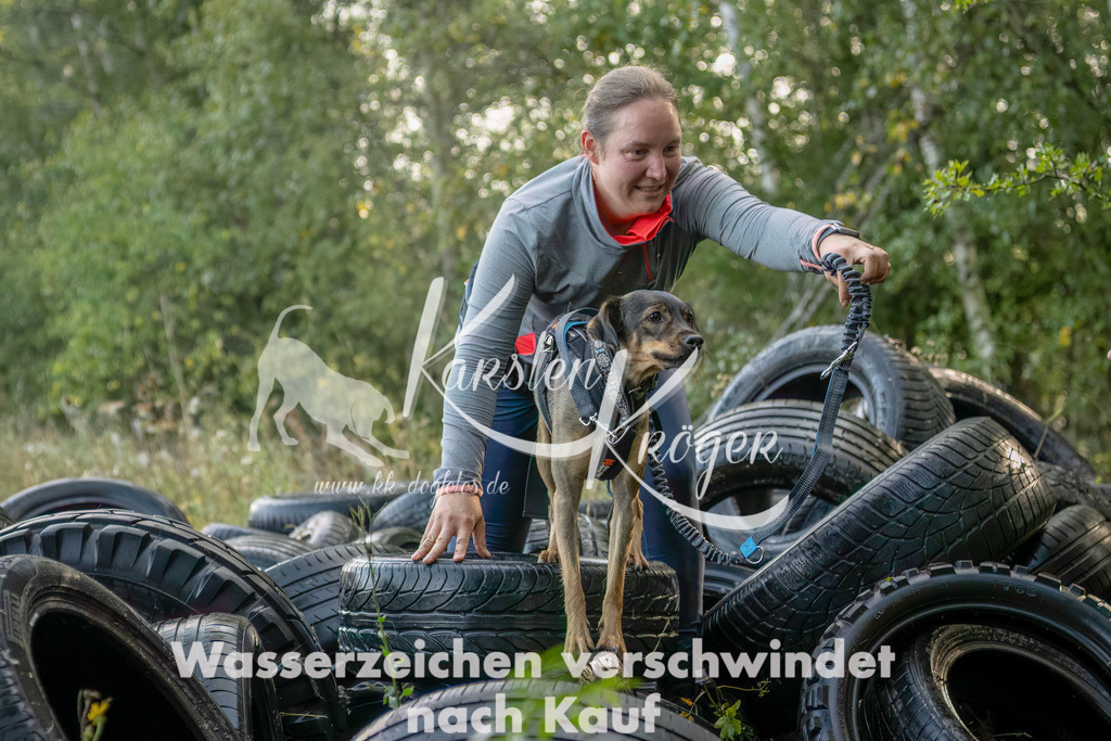 1008_ZZ93682-Bearbeitet-2 | kk-dogfotos