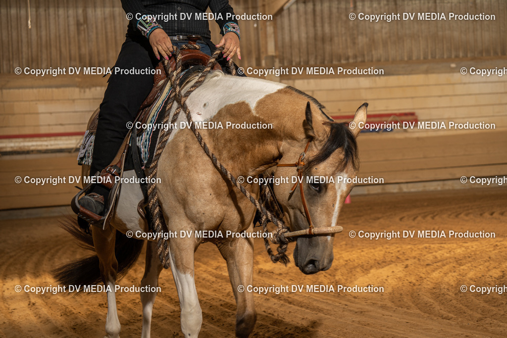 NID03195 | dv-media-shop - Realisiert mit Pictrs.com