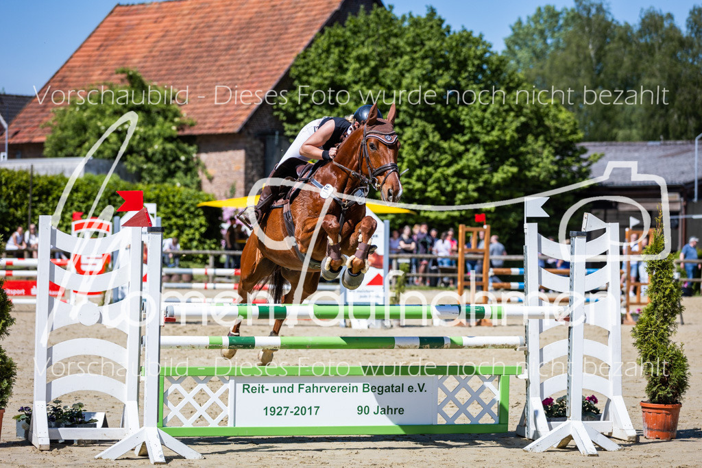 Donop24-ASprmstA-084 | MomenTaufnahmen Pferdesportfotos