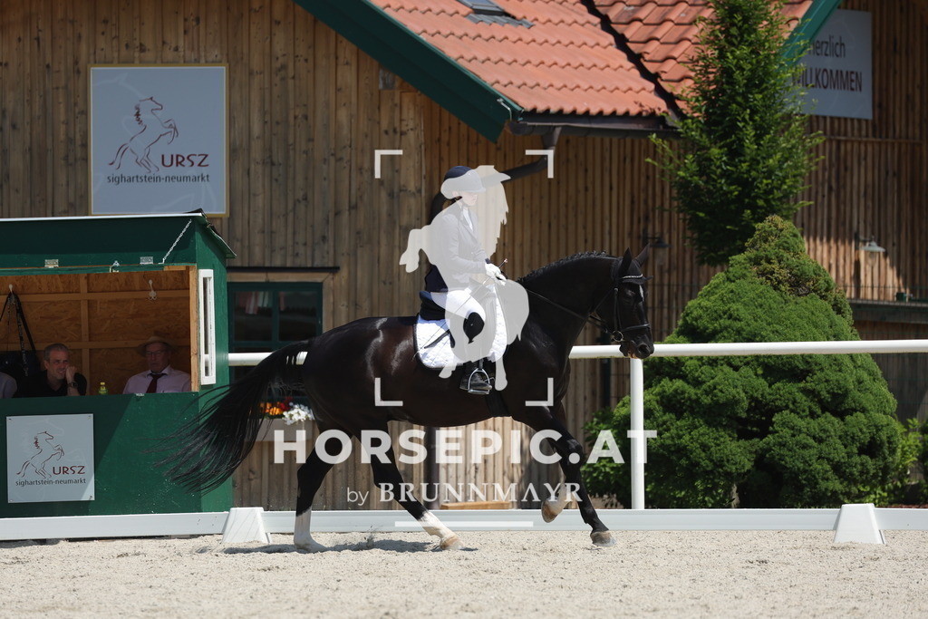 0P6A2242 | Willkommen bei Brunnmayr - Design & Fotografie – Ihrem Spezialisten für Reitturniere und Pferdeveranstaltungen in Oberösterreich, Salzburg und Bayern! Seit über 17 Jahren sind wir leidenschaftlich dabei.