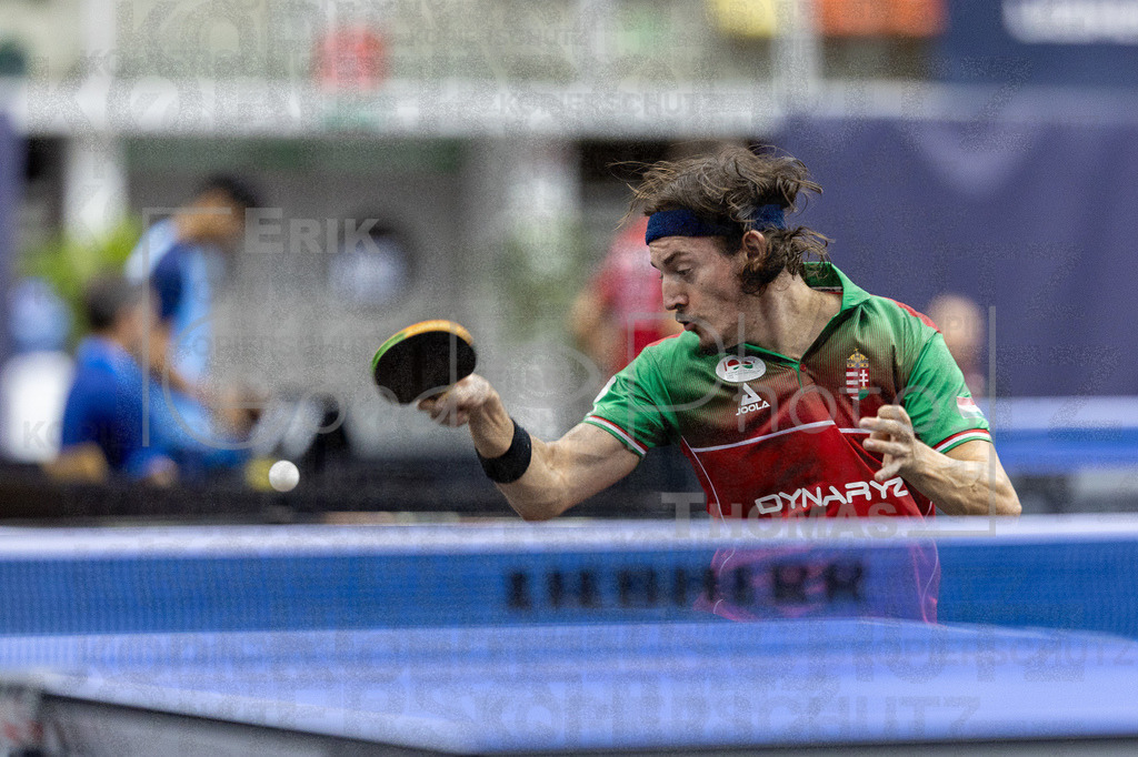 European_Championships_2024-10-15_104 | good-photos - Realisiert mit Pictrs.com
