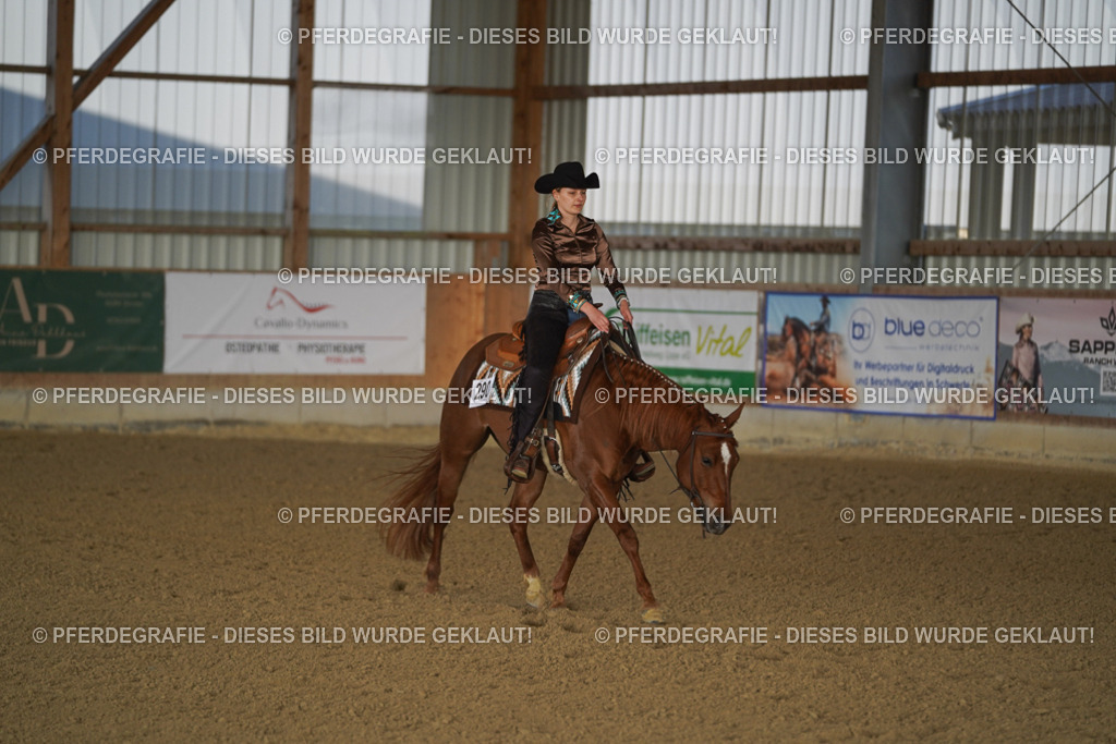 DSC08773 | Pferdegrafie