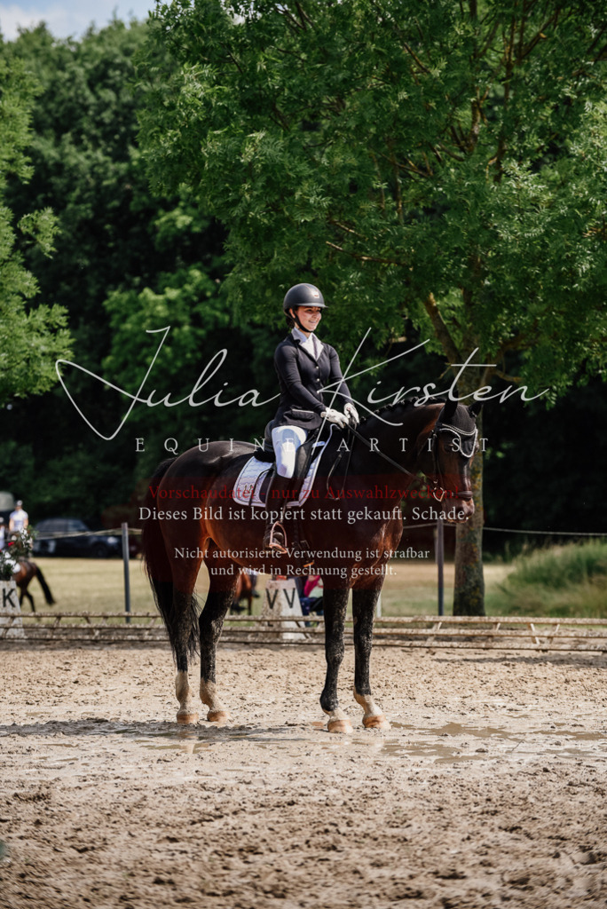 DSC_0645 | Pferde- und Turnierfotografie in Westsachsen. Pferdeportraits, Auftragszeichnungen und intuitive Kunst.