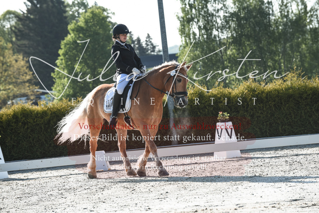 20230518_JK-Röhrsdorf-09-0333 | Pferde- und Turnierfotografie in Westsachsen. Pferdeportraits, Auftragszeichnungen und intuitive Kunst.