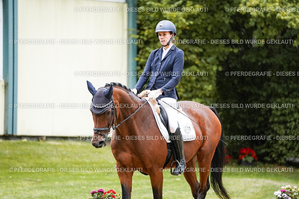 DSC00373 | Pferdegrafie