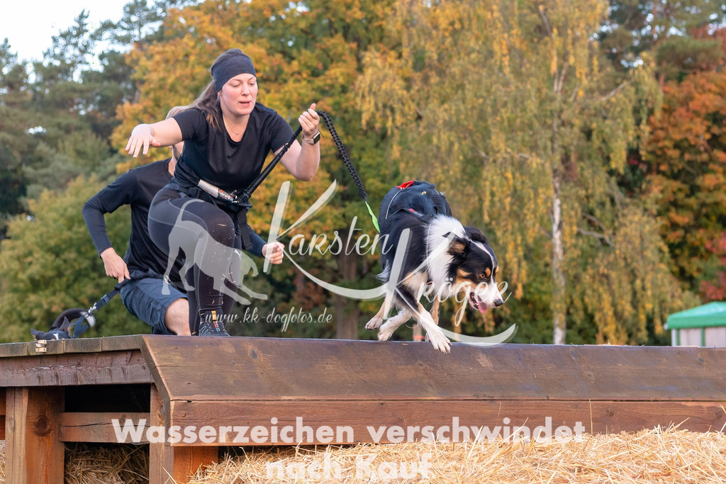 0810STR_2059-Bearbeitet | kk-dogfotos