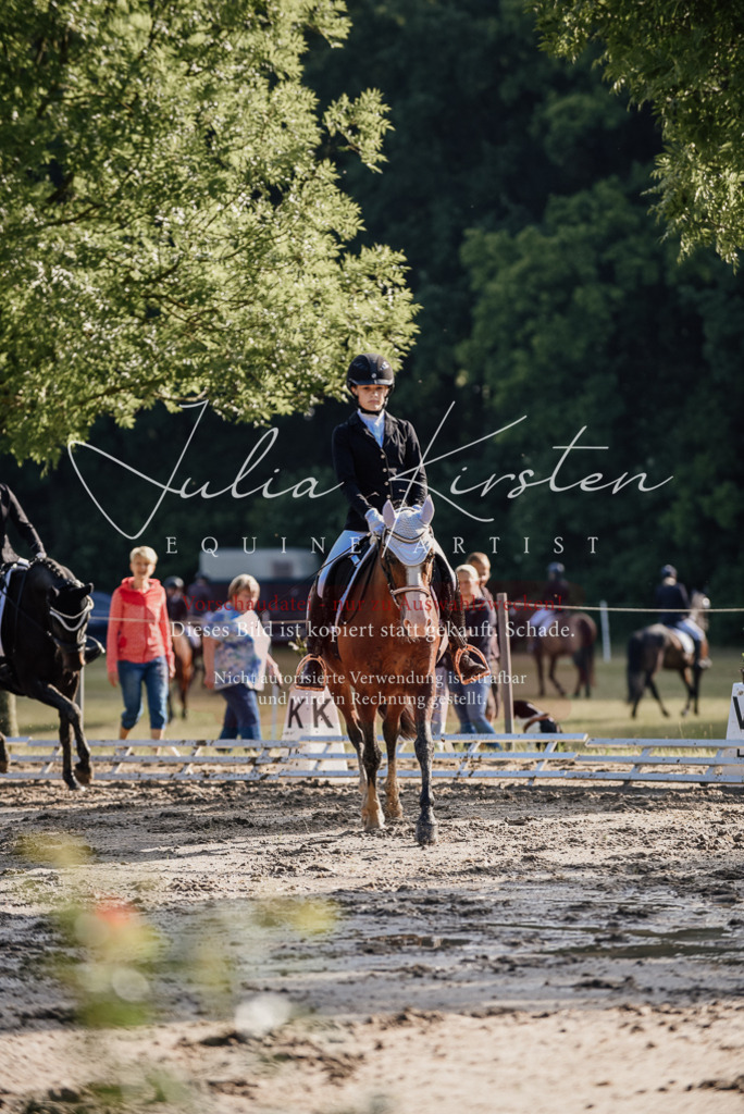 DSC_7792 | Pferde- und Turnierfotografie in Westsachsen. Pferdeportraits, Auftragszeichnungen und intuitive Kunst.