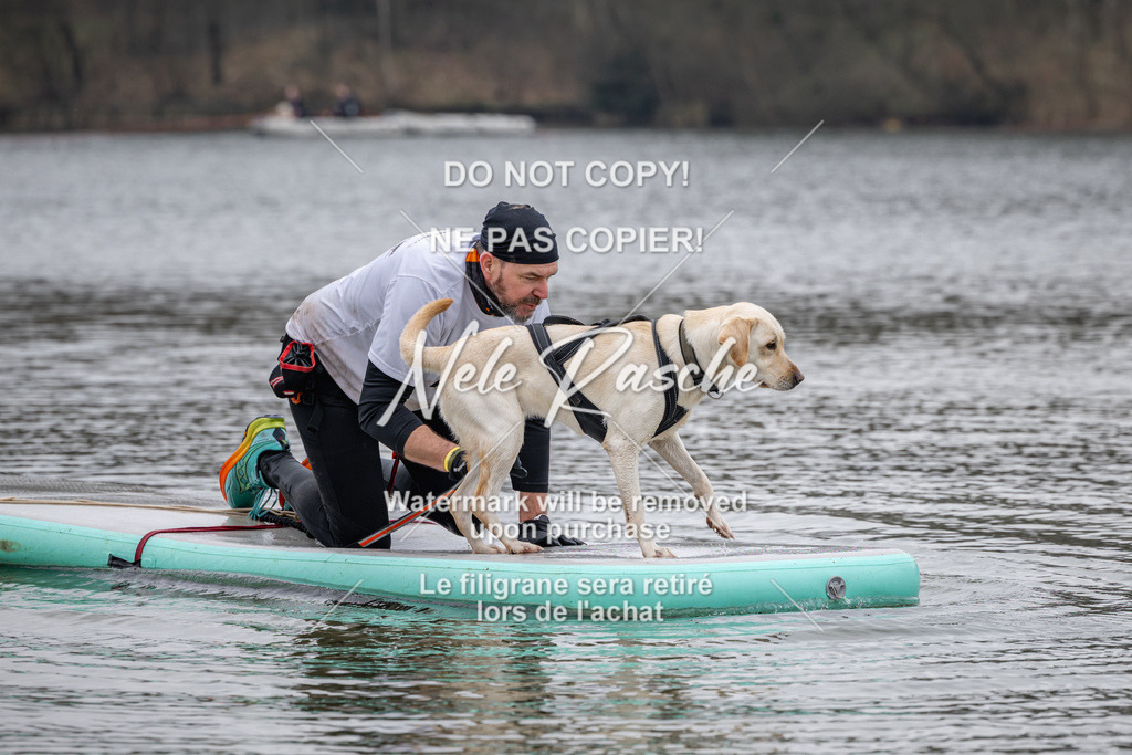 nelerasche_Hulsbeek_Sa1330-1430_320 | nelerasche