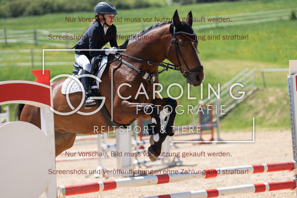 DSC04554 | Springturnier_Ehingen_Mai_2026, Marie_Emilia_Maier, Lord_Athletico