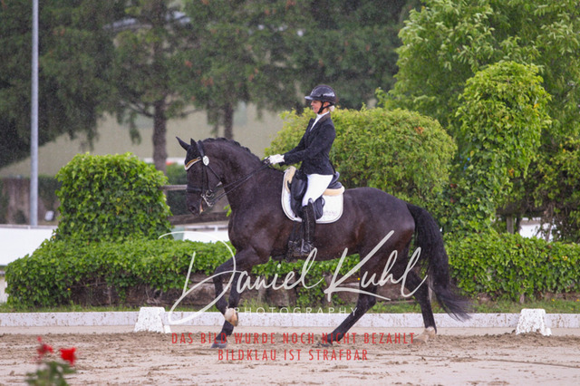 DKP40808 | Turniersportfotografie; Pferdefotografie; Dressurfotografie