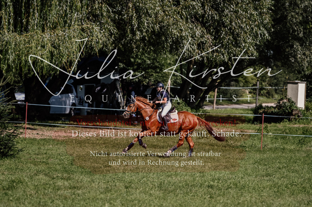 DSC_1884 | Pferde- und Turnierfotografie in Westsachsen. Pferdeportraits, Auftragszeichnungen und intuitive Kunst.