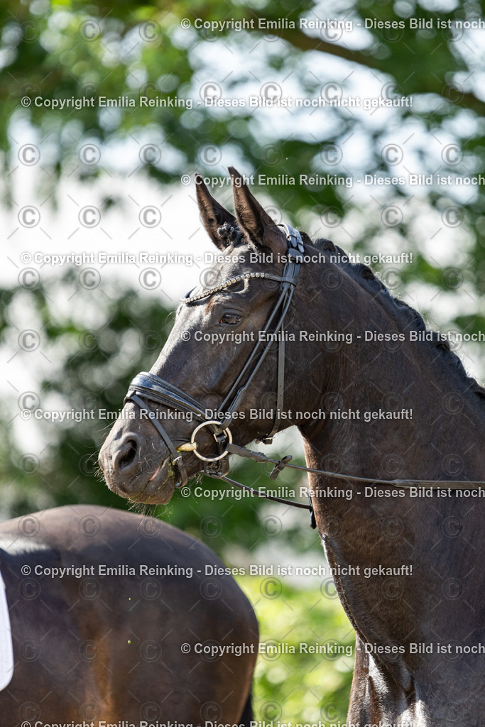 CL5A6793-2 | Emilia Reinking Fotografie - Realisiert mit Pictrs.com