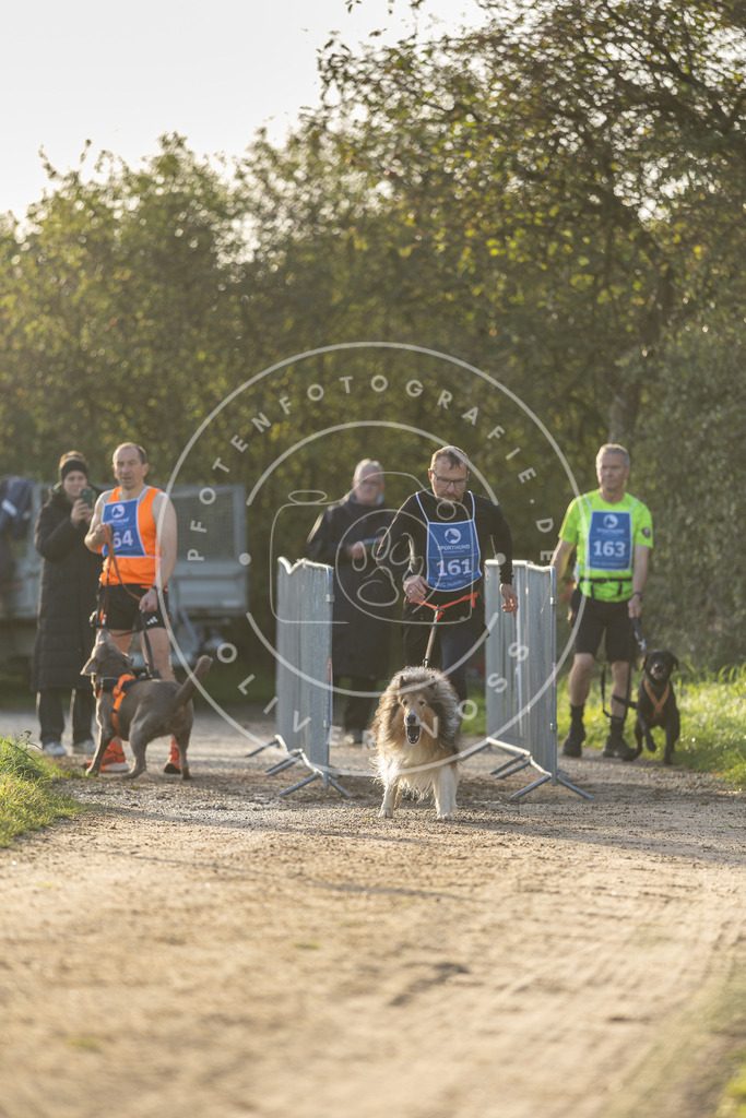 Pfotenfotografie.de_DV3A2660 | Hundefotografie, Tierfotograf, Pfotenfotografie, Fotoshooting Hund, Hunde Portrait, Hundesport, Hundeportraits, Heideshooting, Hunde, Sportfotograf, Hundefotograf, Turnierhundsport, THS, canicross - Realisiert mit Pictrs.com