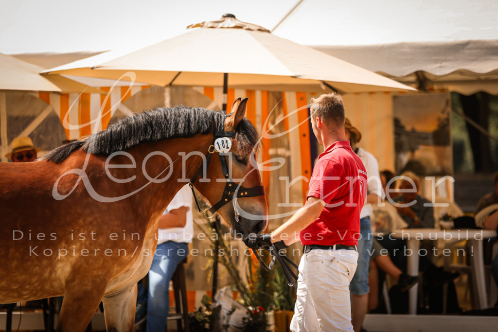 2.Sa00009 | Leoni Ertmer Photography - Realisiert mit Pictrs.com