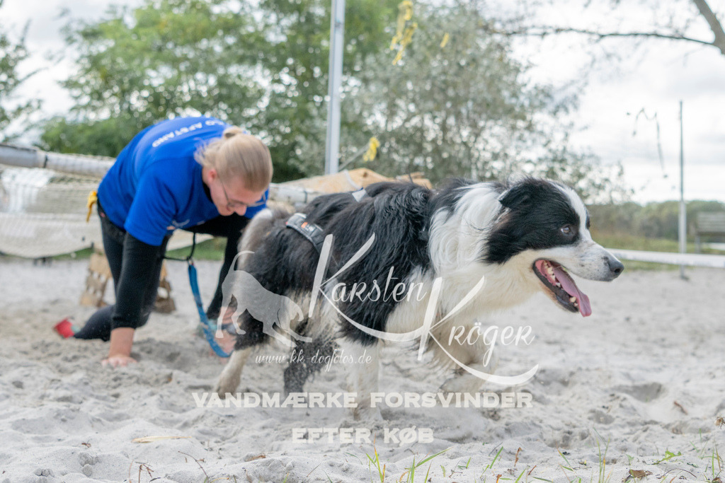 1220_ZZ90967 | kk-dogfotos