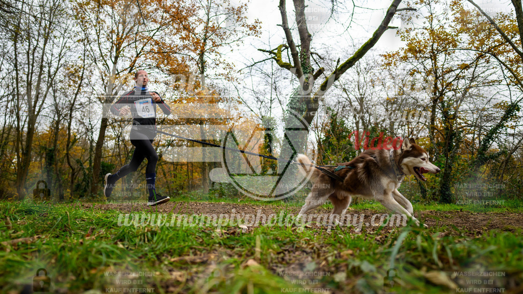 MompixPhotography_Bischwiller24_DI_CoursedeRelais-17 | PayLife