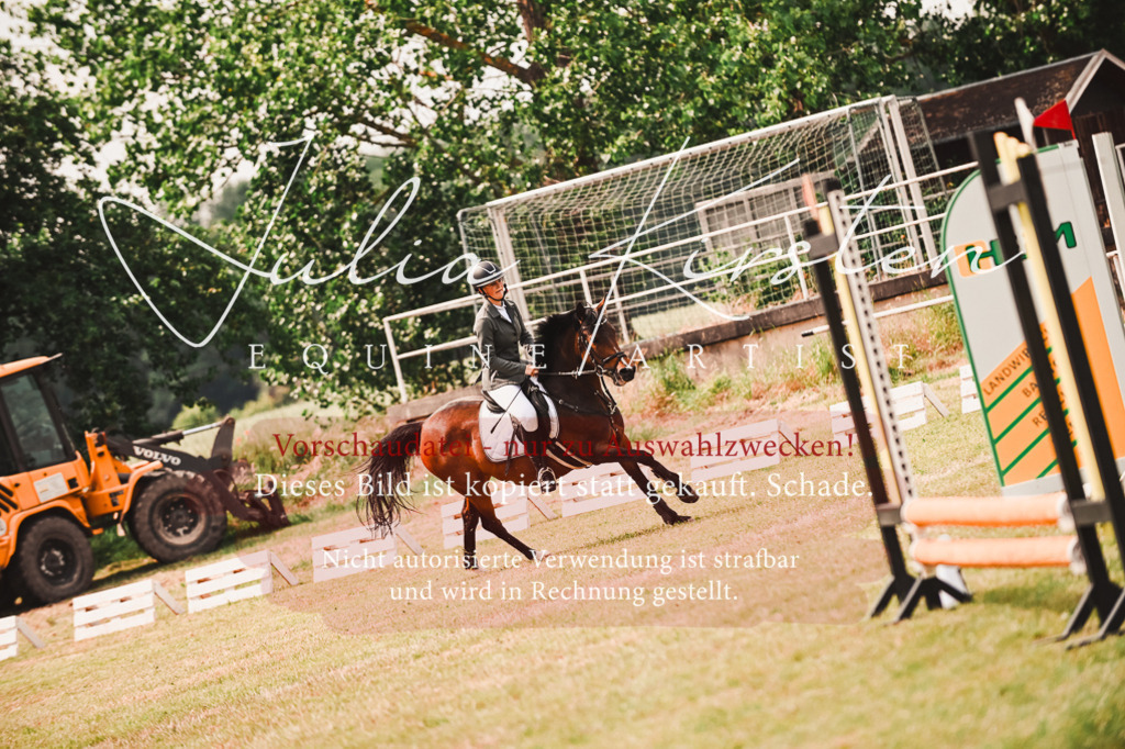 DSC_6906 | Pferde- und Turnierfotografie in Westsachsen. Pferdeportraits, Auftragszeichnungen und intuitive Kunst.