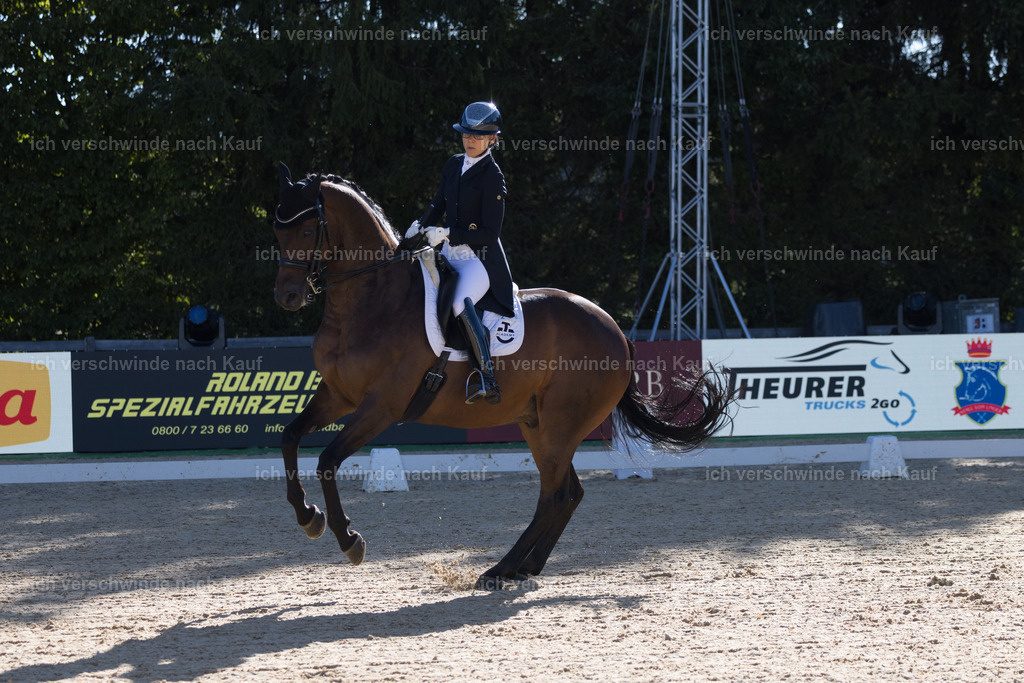 FHC2026_P07_238_17214 | working equitationturnier fotograf videograf stoibphotography marixx film working equitation deutschland reitsport turnierfotografie eventfotografie equestrian events