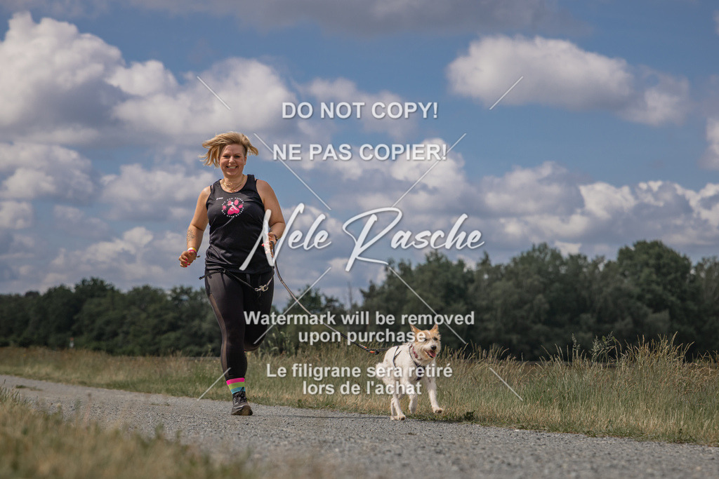 nelerasche_BuHu2026_SaCC1100-1200_32 | nelerasche