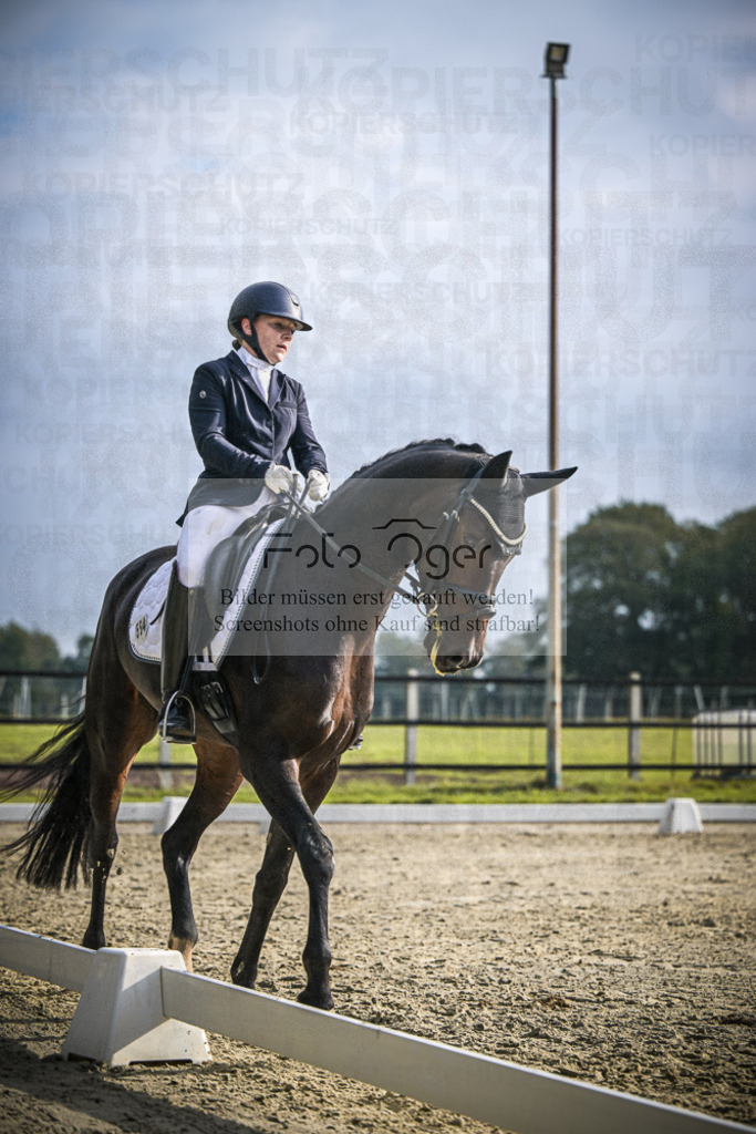 DOS_B234 | Entdecke hochwertige Reitturnierfotos von Foto Oger. Professionell, emotional und authentisch – jetzt Lieblingsmomente im Shop bestellen.Deutschlandweite Turnierfotografie. - Realisiert mit Pictrs.com