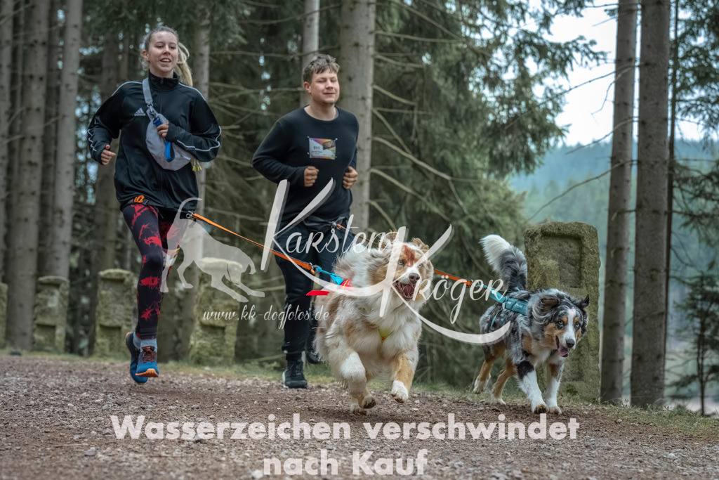 0815_ZZ90673 | kk-dogfotos