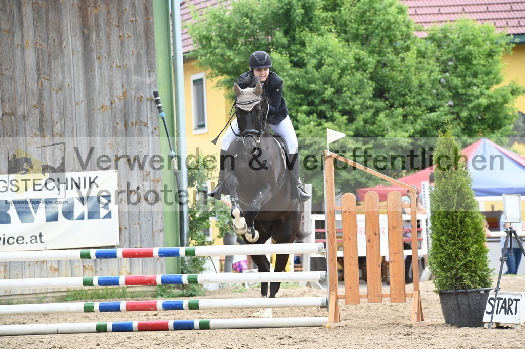 DSC_8219 | equestrian-live-com