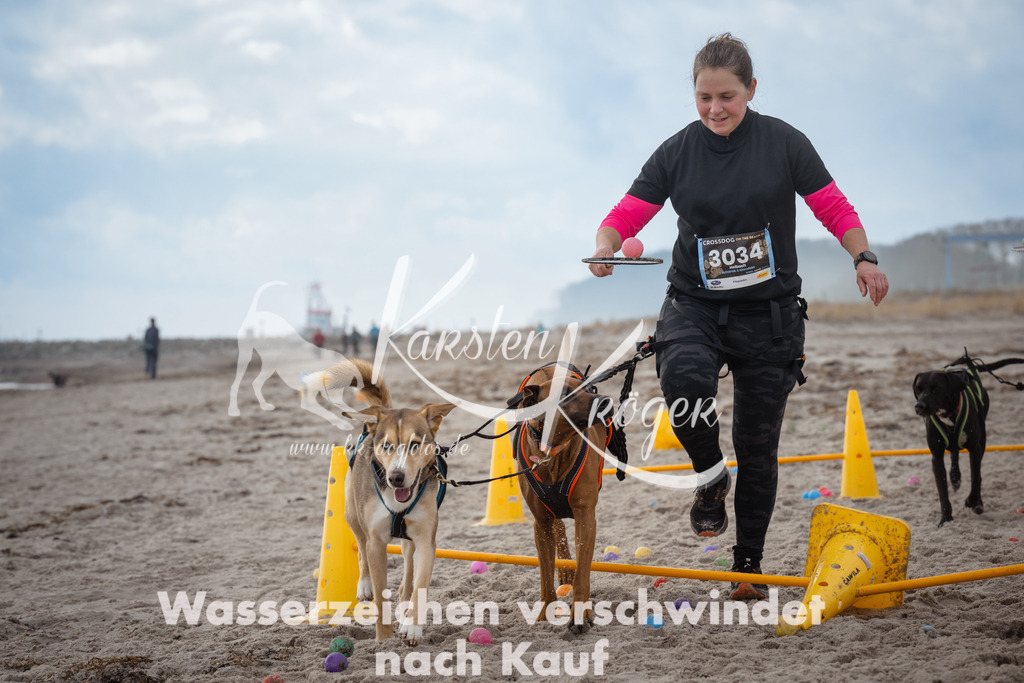 1214_ZZ95603 | kk-dogfotos