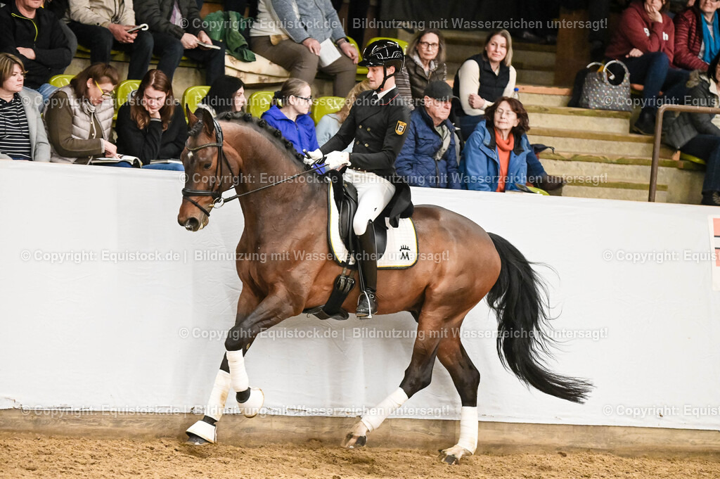 20260307_Hengstvorstellung-Marbach_0373 | equistock