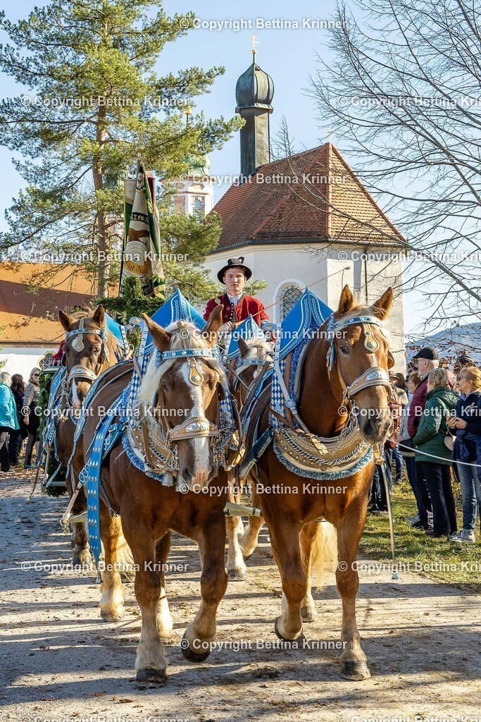 LBT25-1435 | foto-bettina-krinner - Realisiert mit Pictrs.com