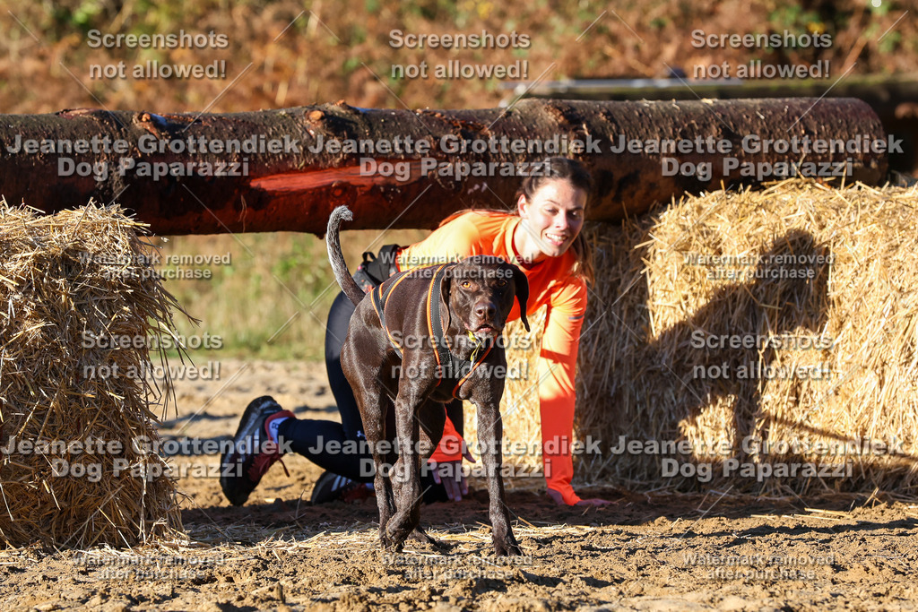 Dog Paparazzi - Strongdog 10-25-1188 | Dog Paparazzi Jeanette Grottendiek Fotografie & Videografie - Realisiert mit Pictrs.com