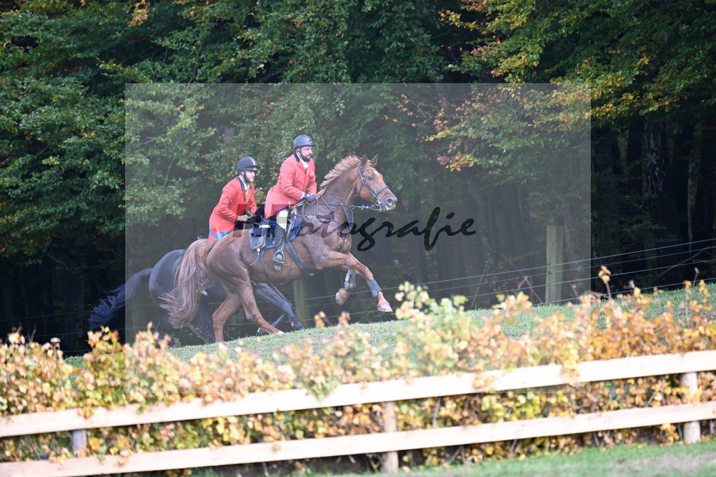 40250298 | hf-fotografie - Realisiert mit Pictrs.com