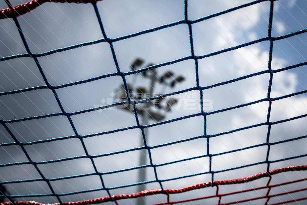 20260726_Picselweb-Fotografie_2R3_0186 | Dein Fotograf aus dem Landkreis Stade für Sport und Events - Realisiert mit Pictrs.com