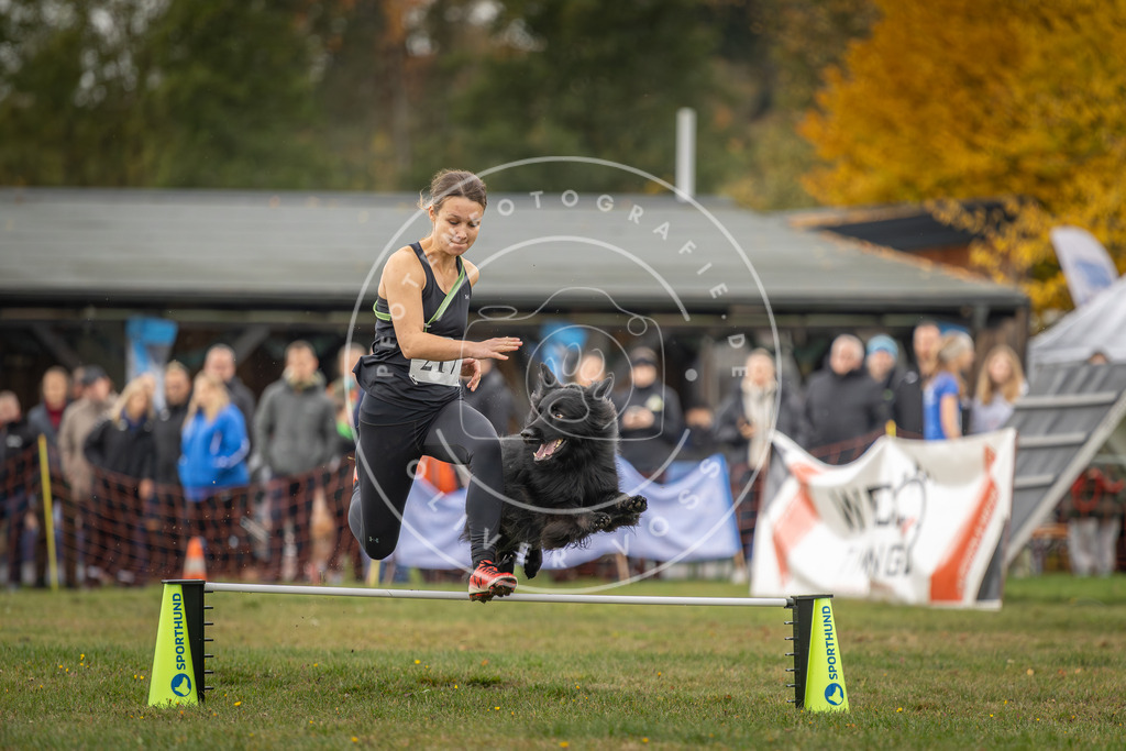 Pfotenfotografie_DV3A2963 | Hundefotografie, Tierfotograf, Pfotenfotografie, Fotoshooting Hund, Hunde Portrait, Hundesport, Hundeportraits, Heideshooting, Hunde, Sportfotograf, Hundefotograf, Turnierhundsport, THS,  - Realisiert mit Pictrs.com